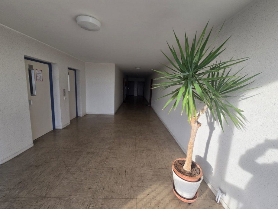 Aufz�ge Etagenwohnung K�ln
